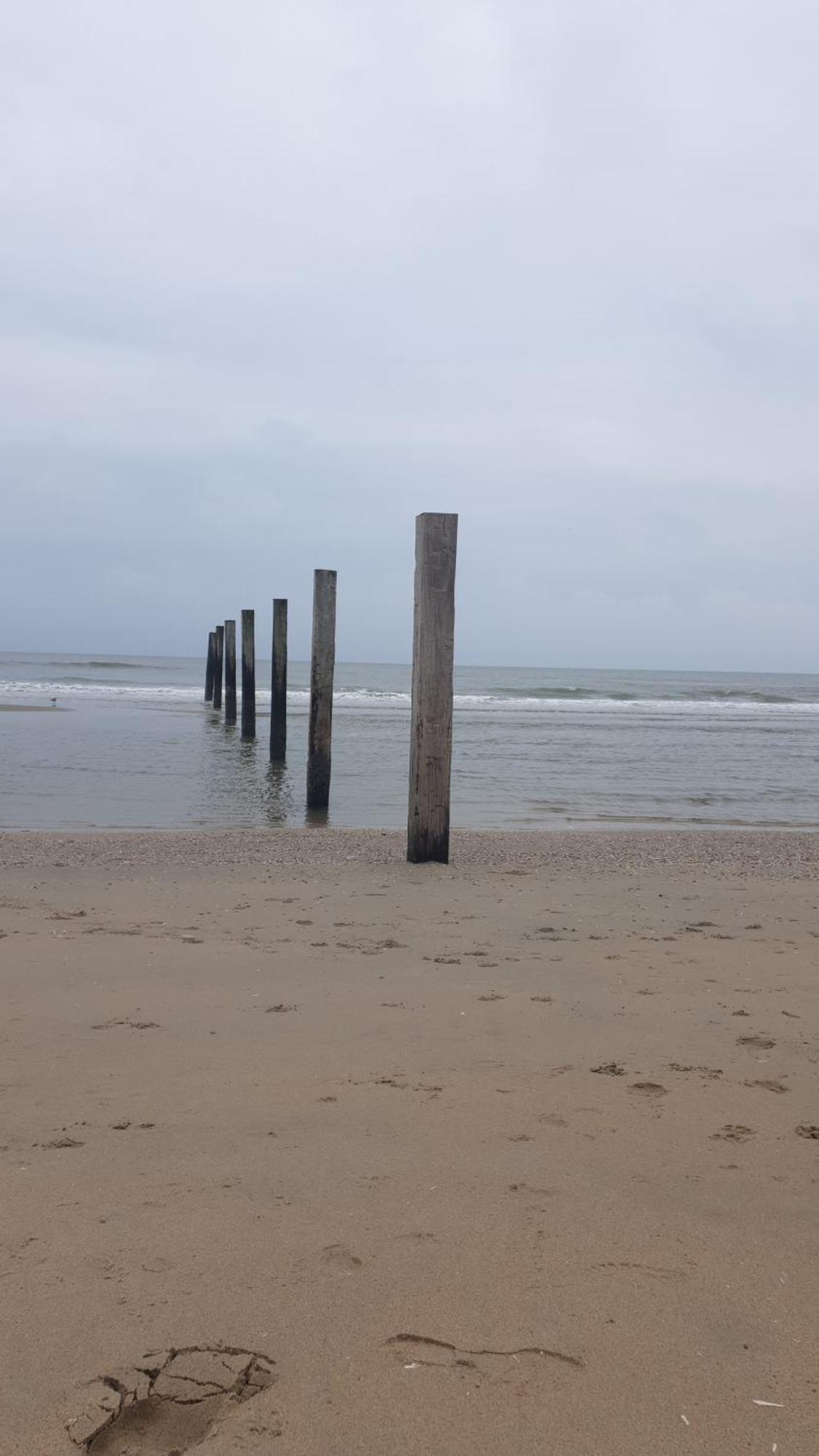 Rembrandts Beach View Zandvoort Esterno foto