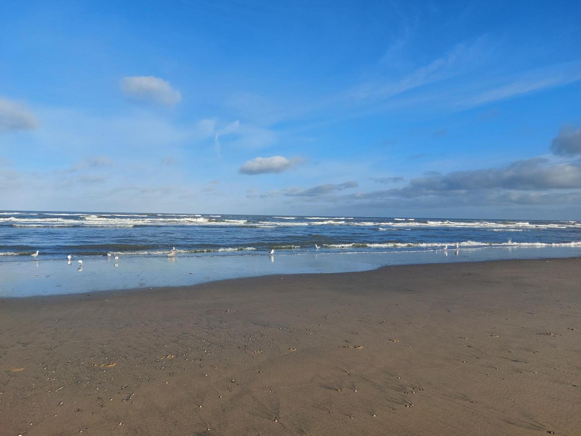 Rembrandts Beach View Zandvoort Camera foto